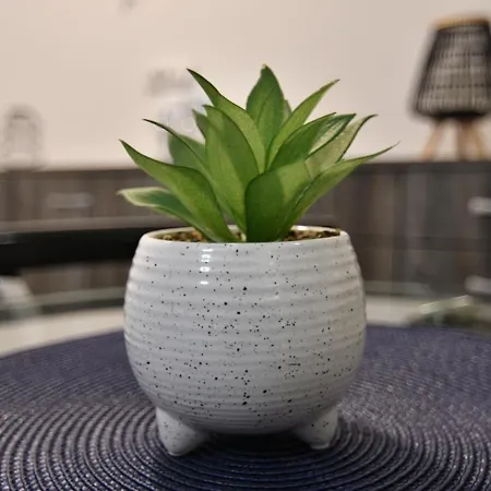 Brvnara Mont 3 * 兹拉蒂博尔