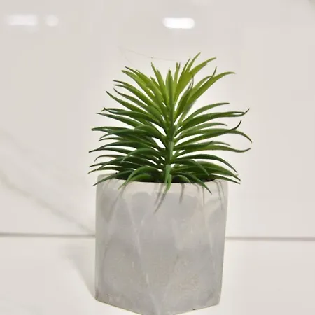 Шале Brvnara Mont 3 Златибор